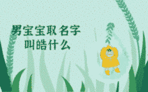 男寶寶取名字叫皓什么