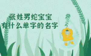 張姓男蛇寶寶有什么一個(gè)字的好名字