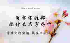 男寶寶姓鄭起什么名字好聽