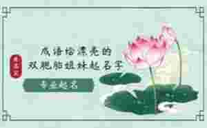用成語給漂亮的雙胞胎姐妹起名字