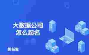 大數據公司怎么起名