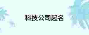 科技公司起名