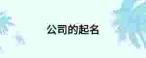 公司的起名
