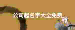 公司起名字大全免費