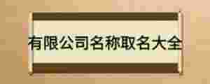有限公司名稱取名大全