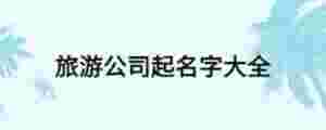 旅游公司起名字大全