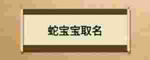 蛇寶寶取名