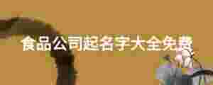 食品公司起名字大全免費(fèi)