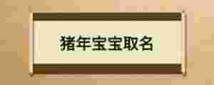 豬年寶寶取名
