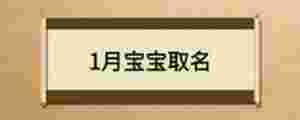 1月寶寶取名