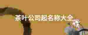 茶葉公司起名稱大全