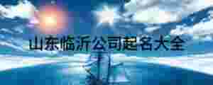 山東臨沂公司起名大全