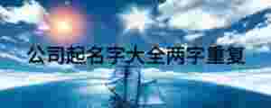 公司起名字大全兩字重復(fù)