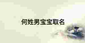 何姓男寶寶取名