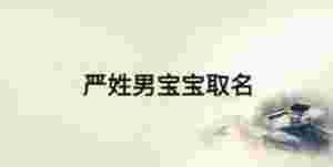 嚴(yán)姓男寶寶取名