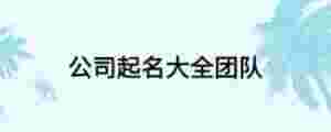 公司起名大全團隊