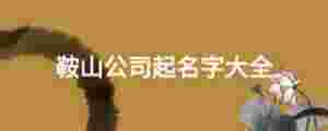 鞍山公司起名字大全