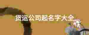 貨運公司起名字大全
