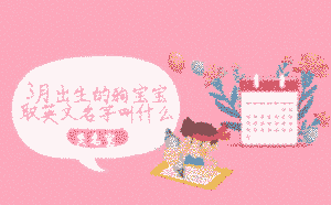 3月出生的狗寶寶取英文名字叫什么