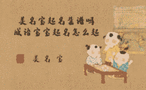 美名寶起名靠譜嗎，成語寶寶起名怎么起