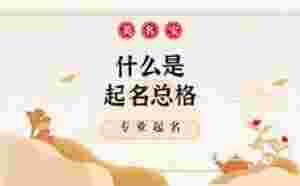 什么是起名總格，哪家公司起名靠譜