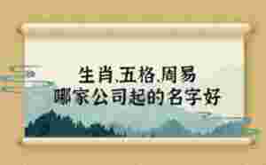 生肖、五格、周易，哪家公司起的名字好