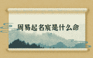 周易起名宸是什么命