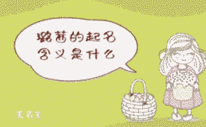 璐茜的起名含義是什么