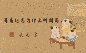 周易起名為什么叫周易