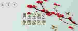 男寶寶怎么免費(fèi)起名字