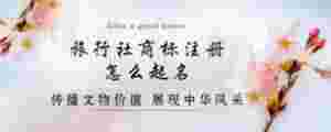 旅行社商標(biāo)注冊怎么起名