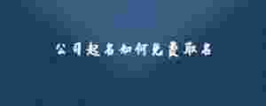 公司起名如何免費(fèi)取名