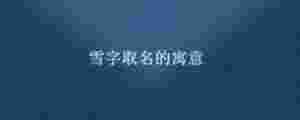 雪字取名的寓意