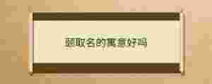 頤取名的寓意好嗎