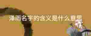 澤雨名字的含義是什么意思