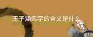 王子涵名字的含義是什么