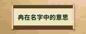 冉在名字中的意思