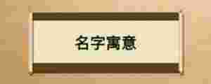 名字寓意