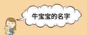 牛寶寶的名字