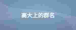 高大上的群名