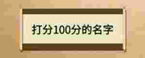 打分100分的名字