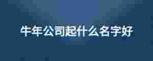 牛年公司起什么名字好