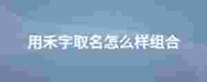 用禾字取名怎么樣組合