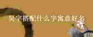 昊字搭配什么字寓意好名
