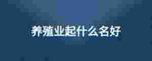 養(yǎng)殖業(yè)起什么名好