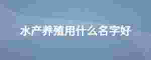 水產養殖用什么名字好