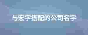 與宏字搭配的公司名字