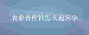 農(nóng)業(yè)合作社怎么起名字