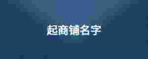 起商鋪名字