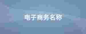 電子商務名稱